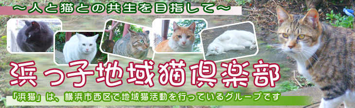 �_�L�^�C�g��